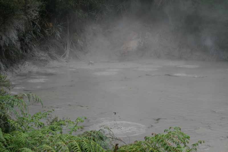 Nieuw-Zeeland 2011 - 0739
